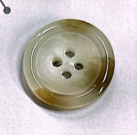 SCOTCH161 【水牛風格】4孔紐扣，光面[鈕扣] 日東鈕扣