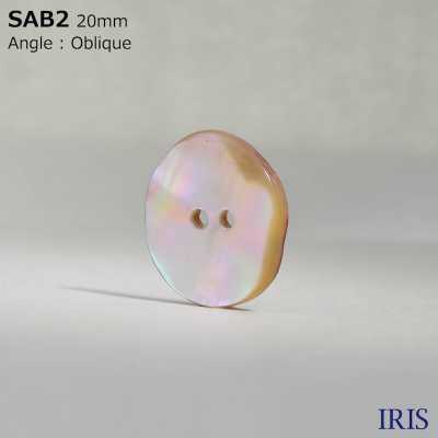 SAB2 天然材料貝殼2 孔光面鈕扣 愛麗絲鈕扣 更多照片