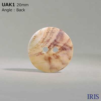 UAK1 天然材料外殼染色前孔 2 孔光面鈕扣 愛麗絲鈕扣 更多照片