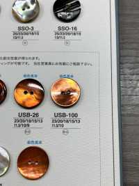 USB100 天然材料 染色黑蝶貝2 個前孔 光面鈕扣 愛麗絲鈕扣 更多照片