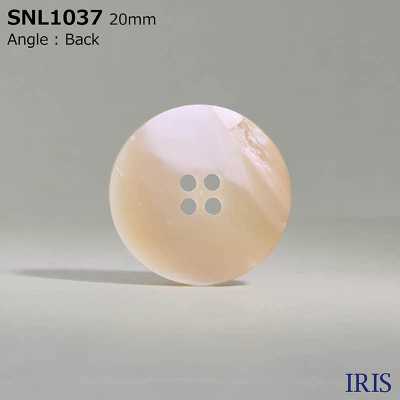 SNL1037 天然材料 4尖尾螺殼殼鈕扣 愛麗絲鈕扣 更多照片