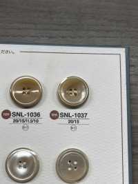 SNL1037 天然材料 4尖尾螺殼殼鈕扣 愛麗絲鈕扣 更多照片