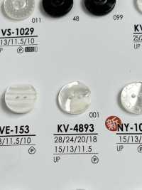 KV4893 用於染色的襯衫鈕扣 愛麗絲鈕扣 更多照片