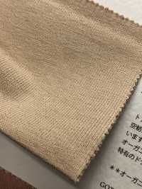 FJ220140 19/- 土耳其有機 BD天竺平針織物[面料] Fujisaki Textile 更多照片