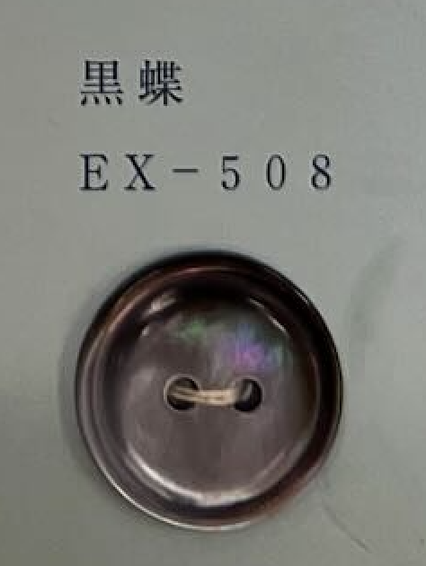 EX508 2孔鑲邊貝殼紐扣[鈕扣] 友井