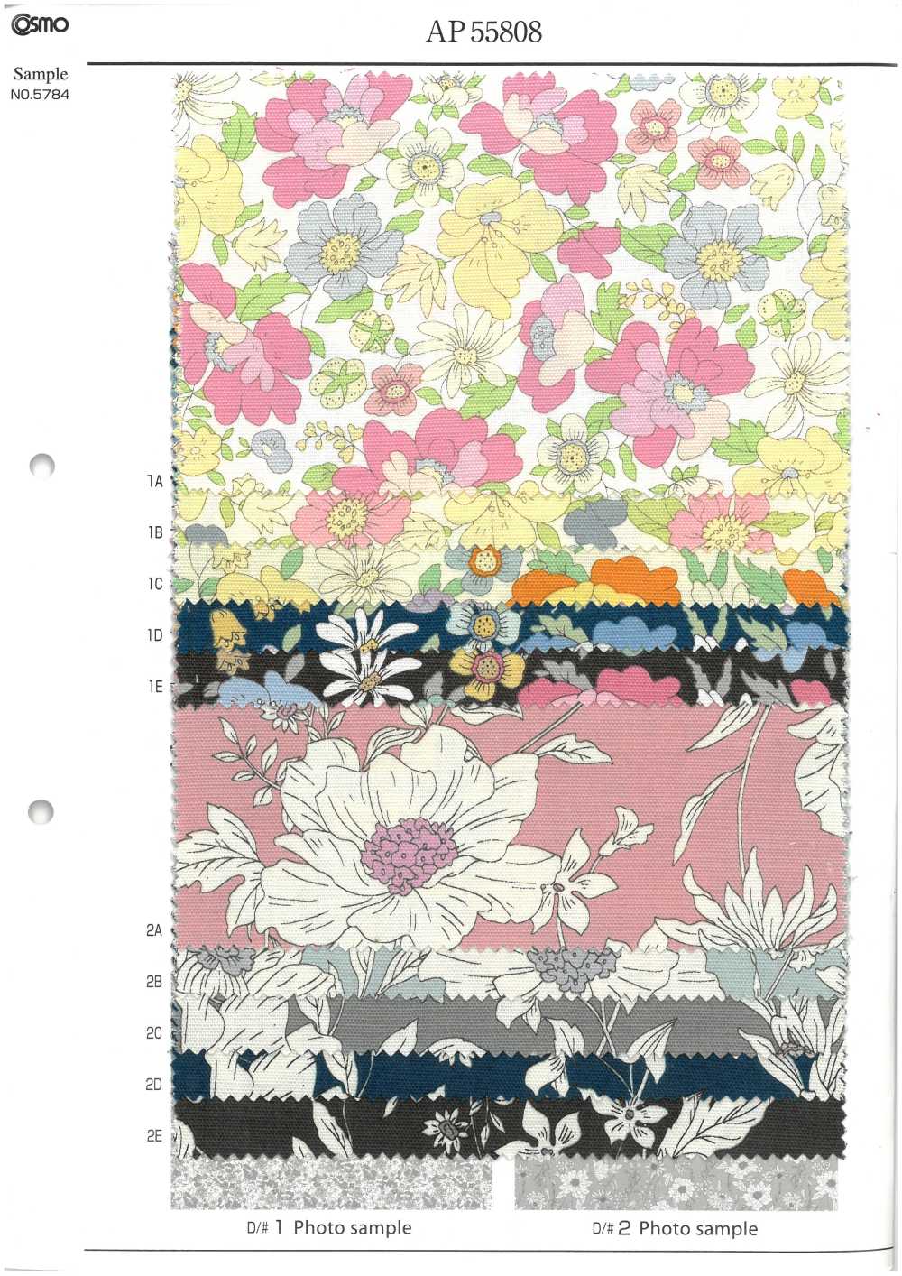 AP55808-DR 牛津《 Essential Grace 2》（對折）[布料] Cosmo Textile