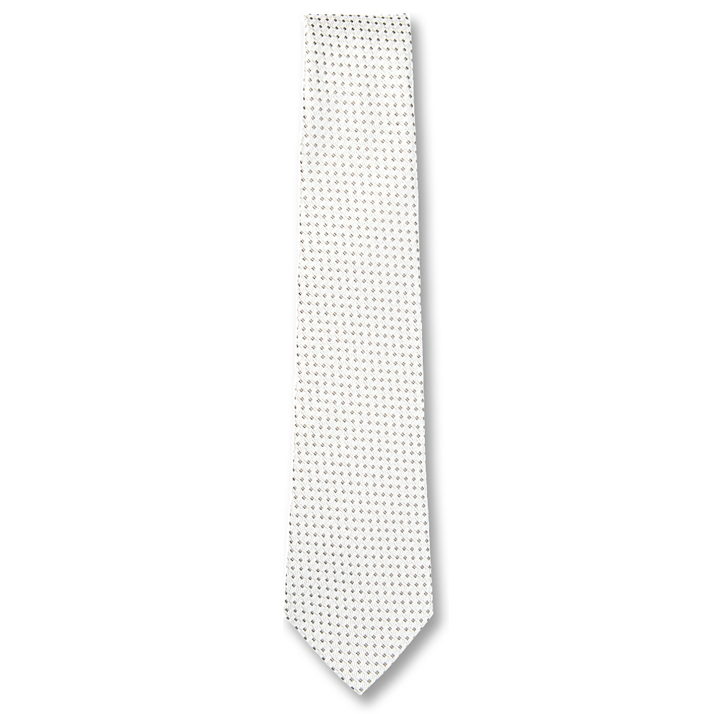 NE-902 日本製造正裝的領帶點灰白色[正裝配飾] 山本（EXCY）