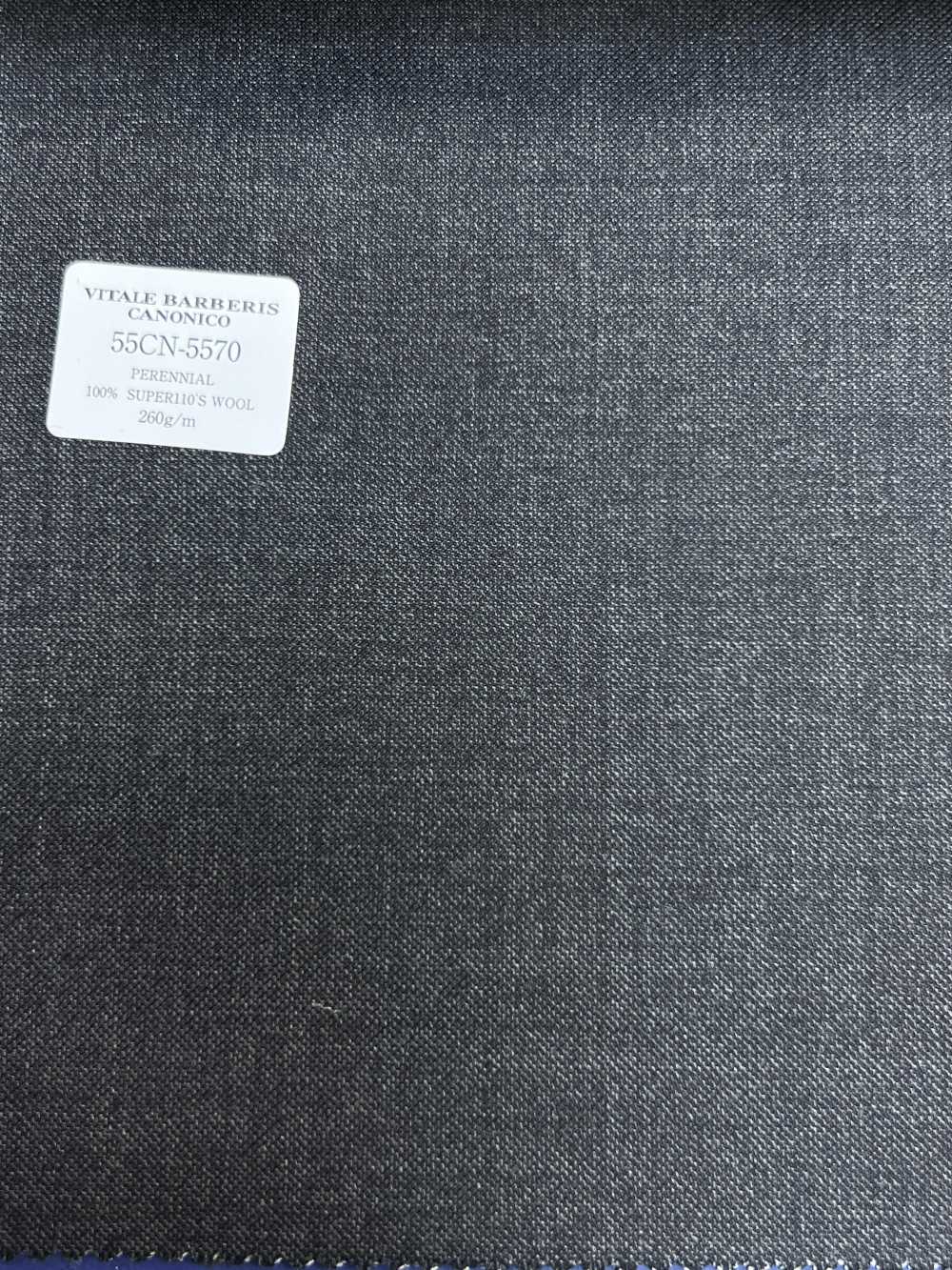 55CN5570 CANONICO PERENNIAL SUPER110'S純色[布料] 佳能