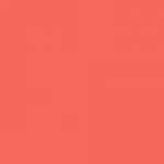 法國玫瑰 法國玫瑰