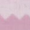 仙客來粉 仙客來粉