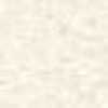 米白