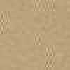 米色 米色
