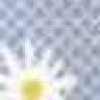 薩克斯藍 薩克斯藍