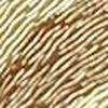 淺金色/棕色