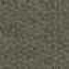 卡其色