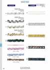 113-117 亮片花邊 約10mm