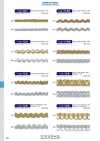 113-121 金屬感金銀絲花邊 約5mm