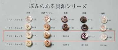 1740 正面四孔 帶邊 貝殼鈕扣 4mm厚