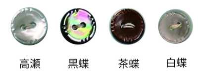 234 兩孔 有邊 貝殼鈕扣