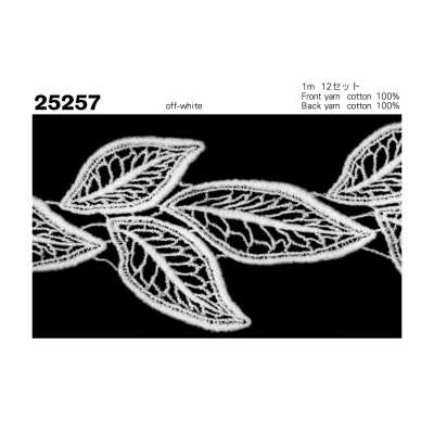 25257 化學蕾絲