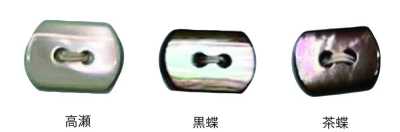 3010 兩孔 橢圓形 貝殼鈕扣