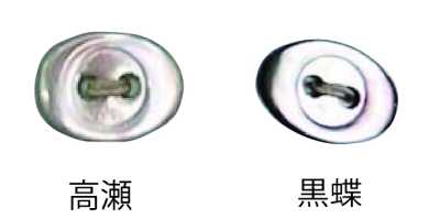 3400 兩孔 橢圓形 貝殼鈕扣