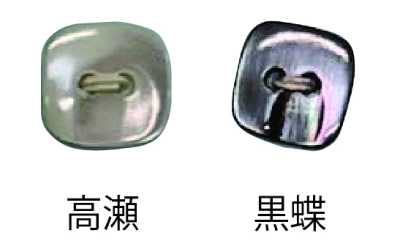 493 兩孔 無邊 貝殼鈕扣