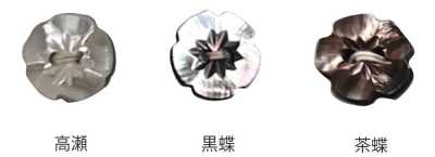 500 兩孔 梅花 貝殼鈕扣