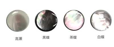 601K 金腳貝殼鈕扣
