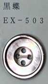 EX503 4孔，鑲邊，貝殼紐扣