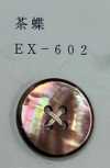 EX602 4孔，貝殼紐扣