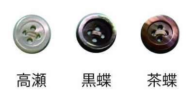 F17 17號四孔鈕扣