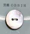 OBB2H 2孔，無邊框，貝殼紐扣