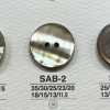 SAB2 天然材質 貝殼製 兩孔有光澤鈕扣