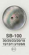 SB100 貝殼鈕扣