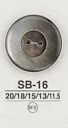 SB16 貝殼鈕扣