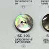 SC100 天然材料貝殼2 孔光面鈕扣