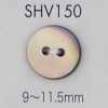 SHV150 兩孔貝殼鈕扣
