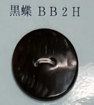 BB2H 2孔 無邊 黑蝶貝殼鈕扣