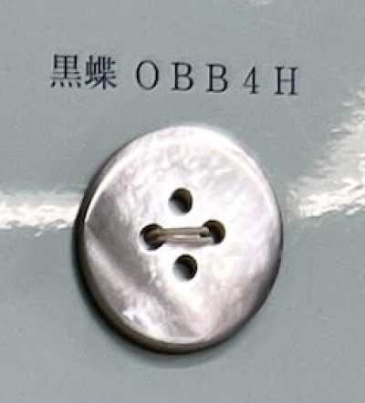 OBB4H 四孔 無邊 黑蝶貝殼鈕扣