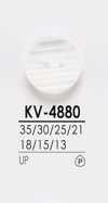 KV4880 染色用襯衫鈕扣