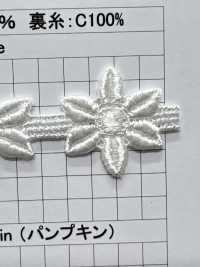 25097 窄幅化學蕾絲 協和蕾絲 更多照片