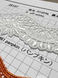 25137 窄幅化學蕾絲 協和蕾絲 更多照片