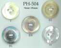 PH504 4孔寬貝殼鈕扣