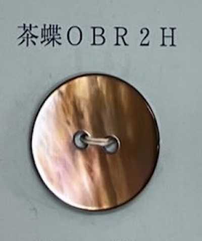 OBR2H 兩孔 無邊 茶蝶貝殼鈕扣