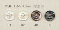 MS8 DAIYA BUTTONS 仿貝殼聚酯纖維鈕扣