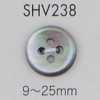 SHV238 四孔貝殼鈕扣