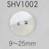 SHV1002 兩孔貝殼鈕扣