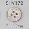 SHV172 四孔 有邊貝殼鈕扣