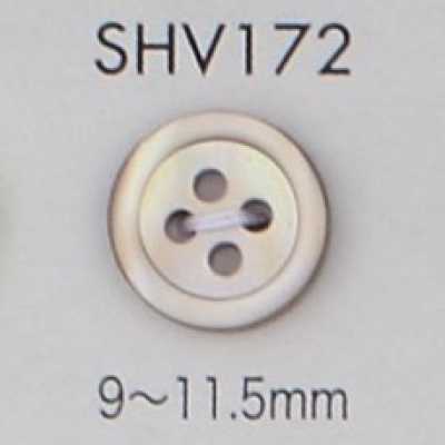 SHV172 四孔 有邊貝殼鈕扣